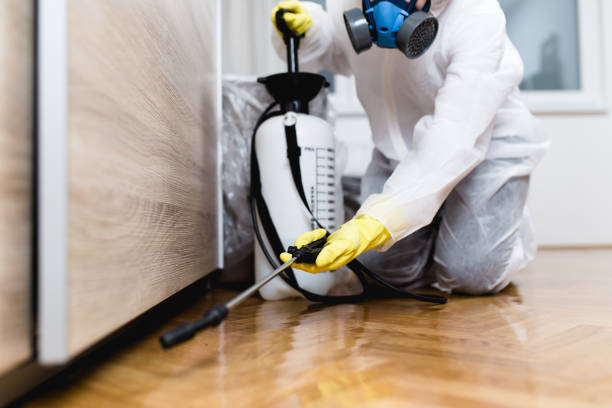Best Exterminator Services  in Sioux Center, IA