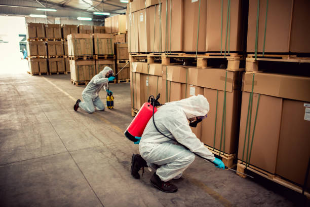 Best Pest Inspection Near Me  in Sioux Center, IA