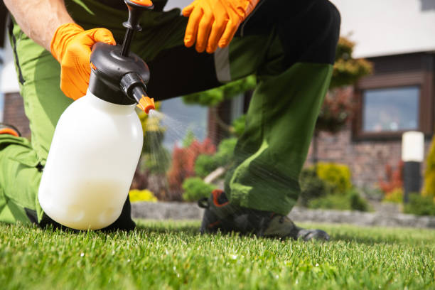 Best Affordable Pest Control Services  in Sioux Center, IA