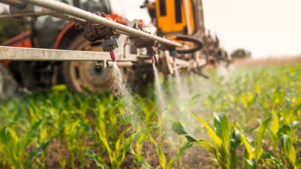 Best Pest Removal Services  in Sioux Center, IA