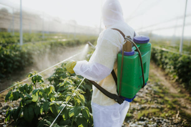Best Termite Control Services  in Sioux Center, IA